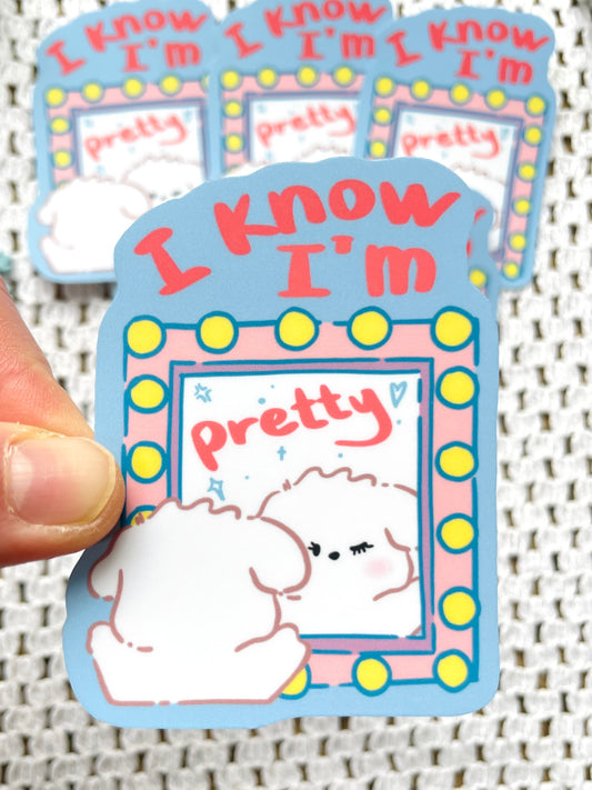 I know I'm Pretty Vinyl Sticker